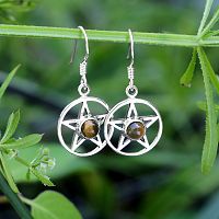 Silver Pentacle Earrings with Tiger Eye, hanging from a stem of grass, showcasing their airy and delicate cutout design.