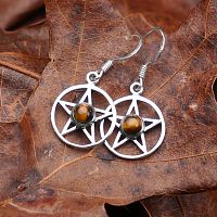Silver Pentacle Earrings on a leaf, highlighting the golden brown and chocolate bands in the tiger eye cabochons.