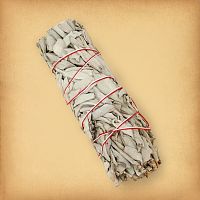 White Sage Herb Bundle, tied with string, featuring tightly packed dried sage ready for smoke cleansing rituals.