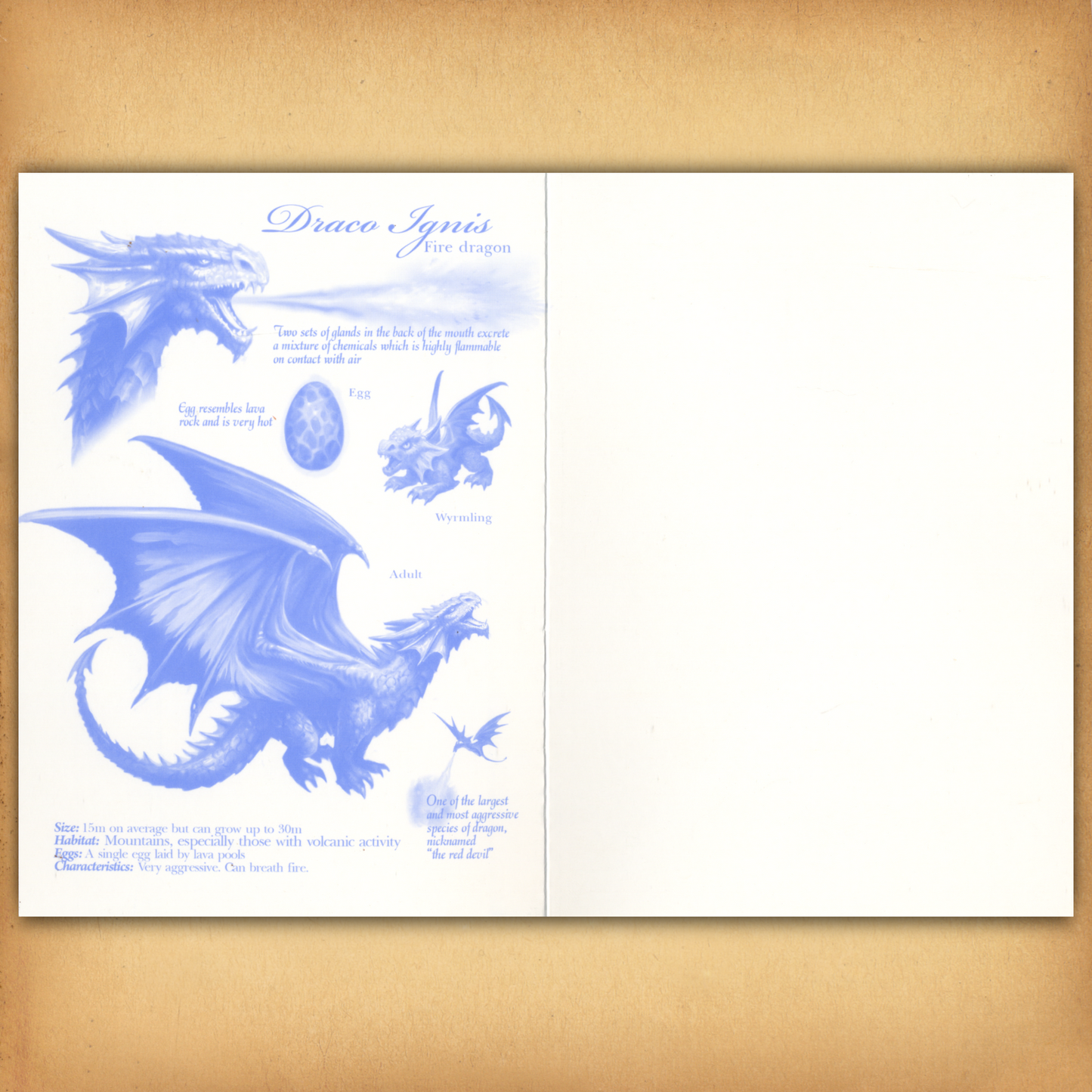 Stylized field guide illustration from inside the card, with sketches of the fire dragon’s characteristics. There is no text.