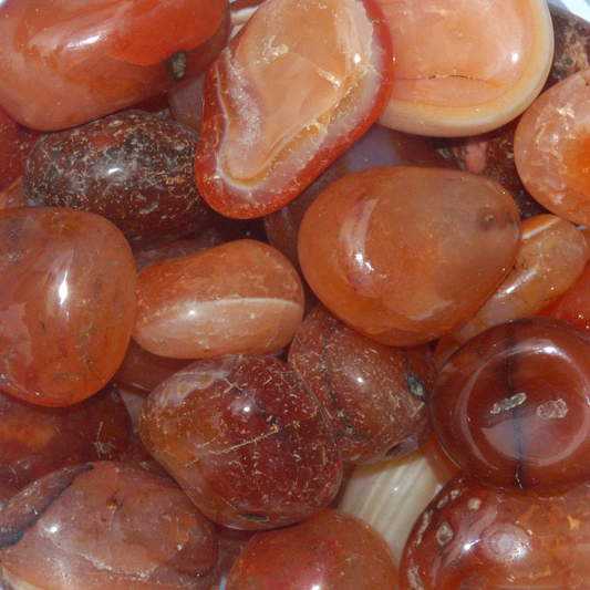 Tumbled Carnelian gemstones in rich hues of burnt orange and rust, some with subtle white banding, and polished surfaces.