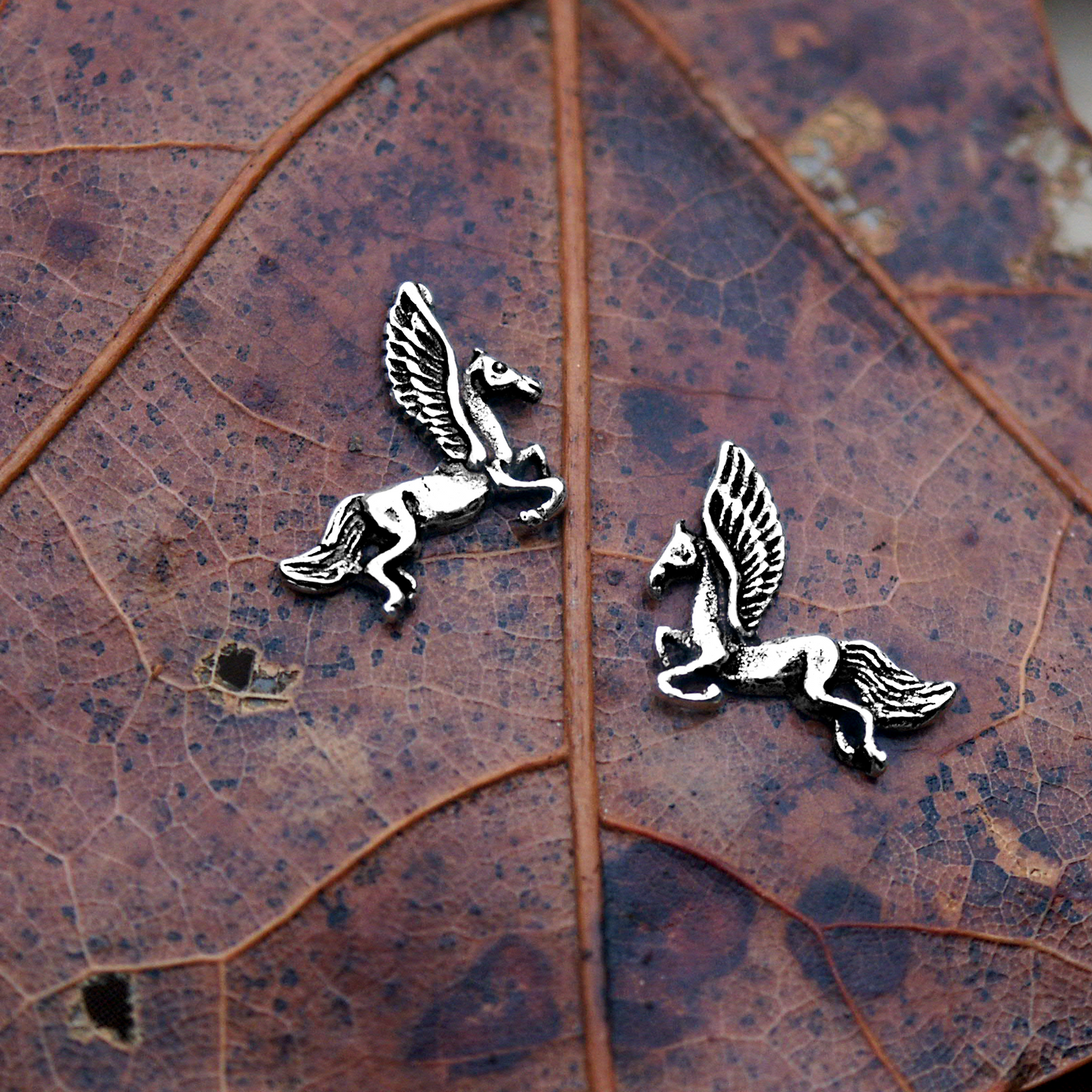 Closeup of a pair of Silver Pegasus Post Earrings on a brown leaf, showcasing their feathered wings and flowing tails.