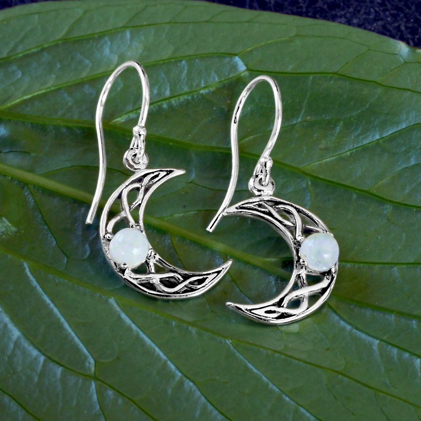 Silver Crystal Moon Earrings