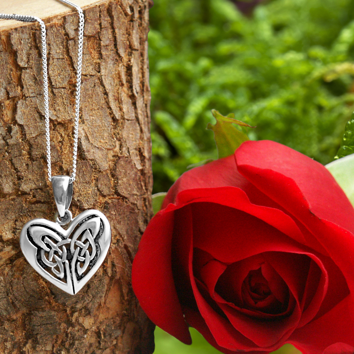 Sterling Silver Celtic Heart Pendant, symbolizing love and affection, displayed with a vibrant red rose. How romantic!
