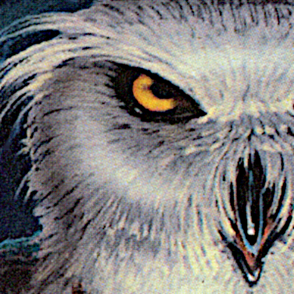 Wizard Messenger Cross Stitch Pattern