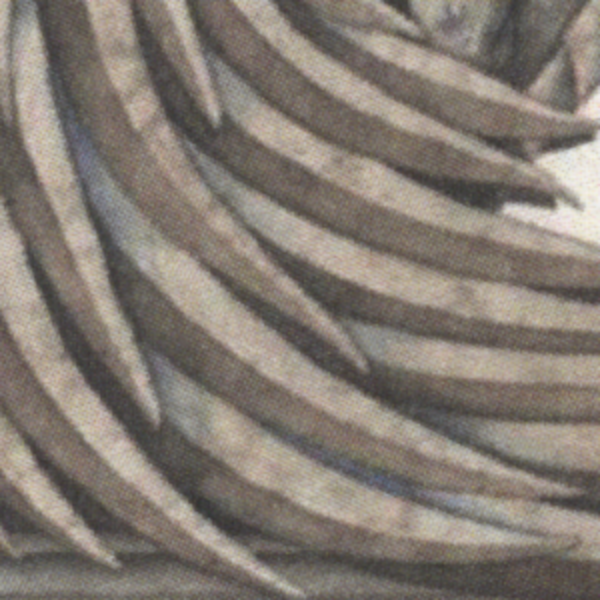 "Autumn Griffin" Cross Stitch Pattern