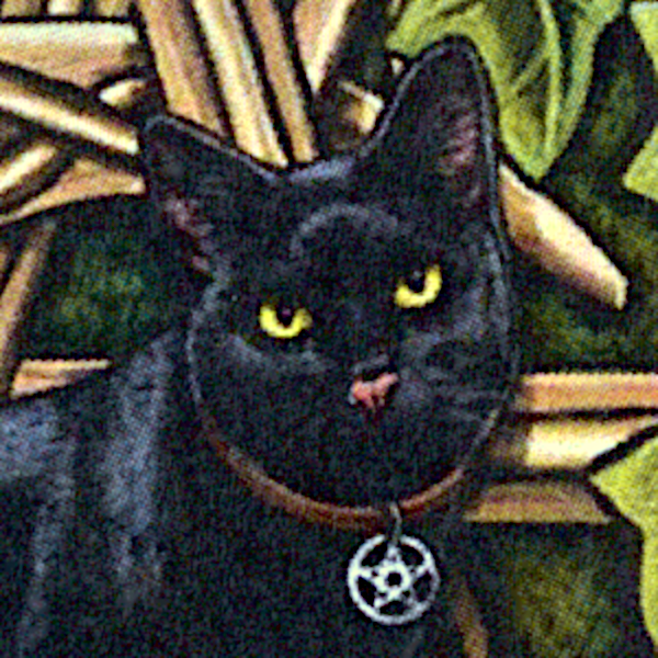 Cat Pentagram Cross Stitch Pattern