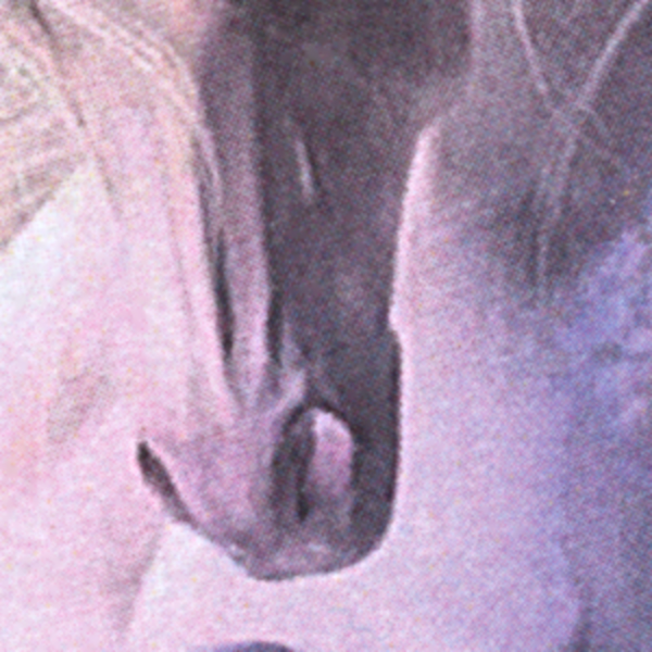 "Pegasus" Cross Stitch Pattern