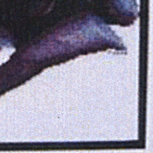 Dark Rose Cross Stitch Pattern