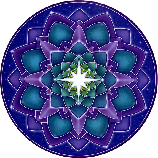 Star Seed Window Sticker