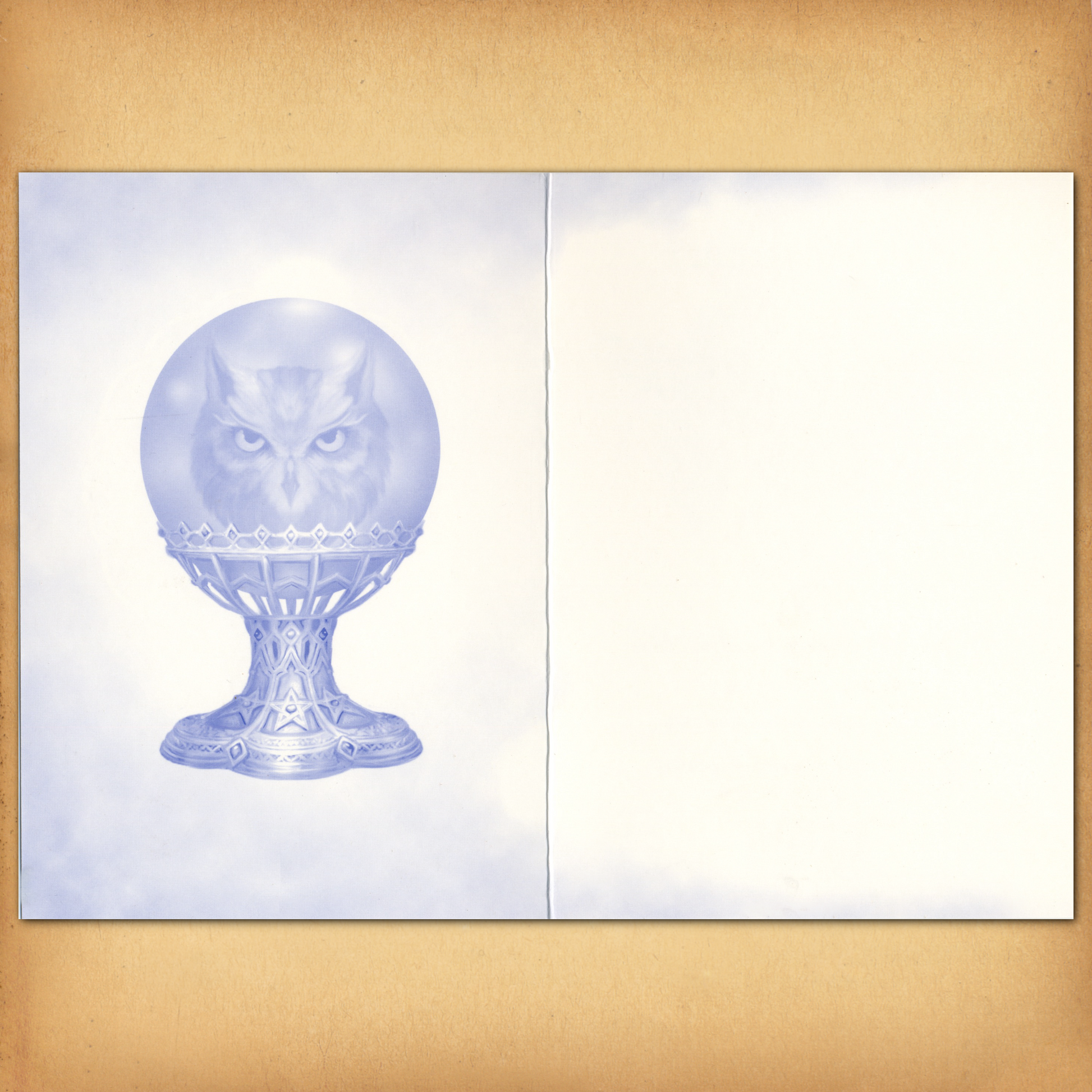 Inside the card, a soft blue illustration of a crystal ball reveals an owl’s image, symbolizing wisdom. There is no text.