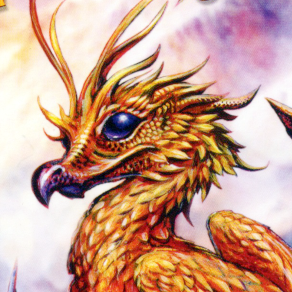 Phoenix Dragon Birthday Card