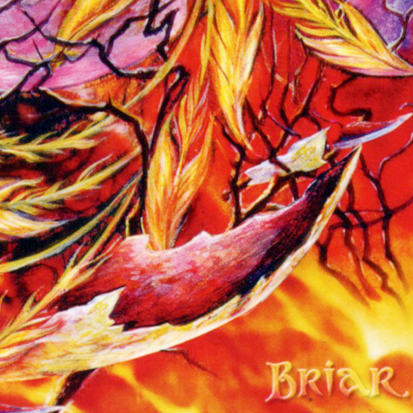 Phoenix Dragon Birthday Card