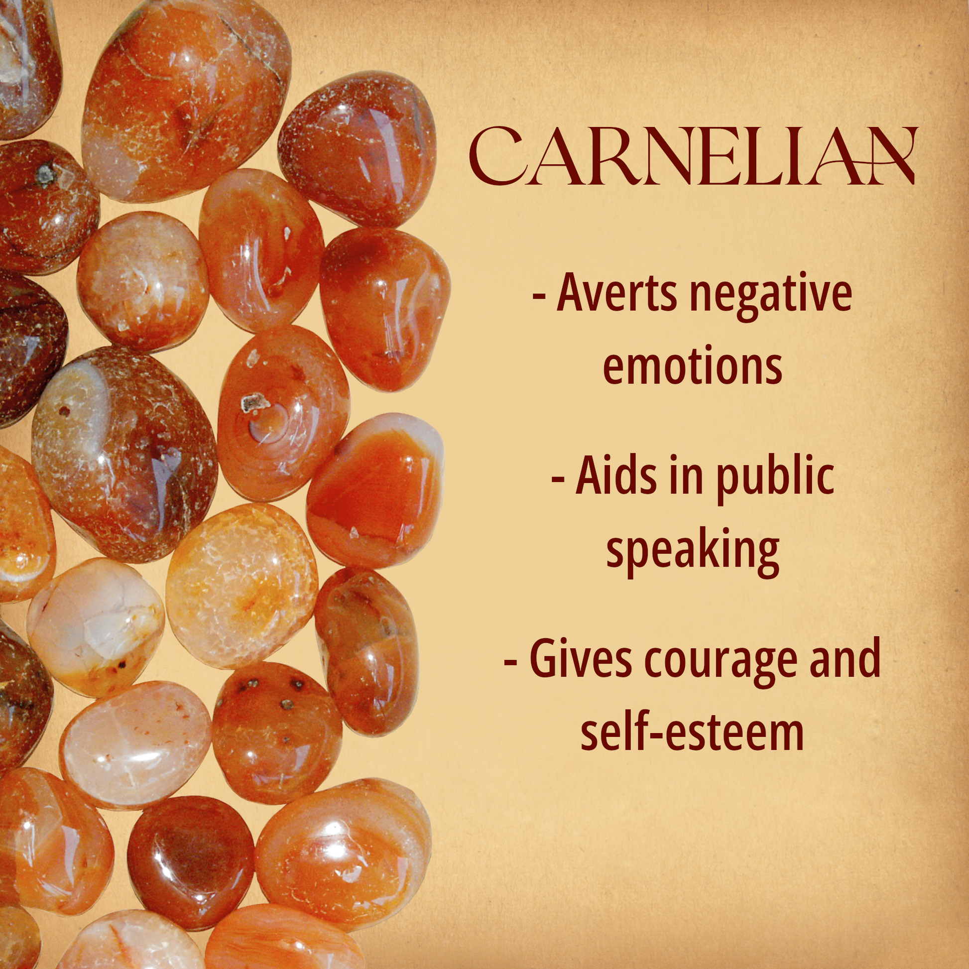 Multiple tumbled Carnelian stones covering half the page, alongside text that briefly describes their magical properties.