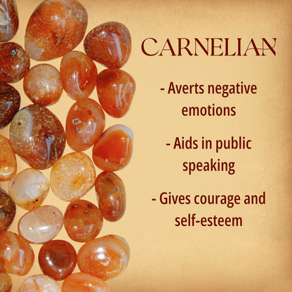 Multiple tumbled Carnelian stones covering half the page, alongside text that briefly describes their magical properties.