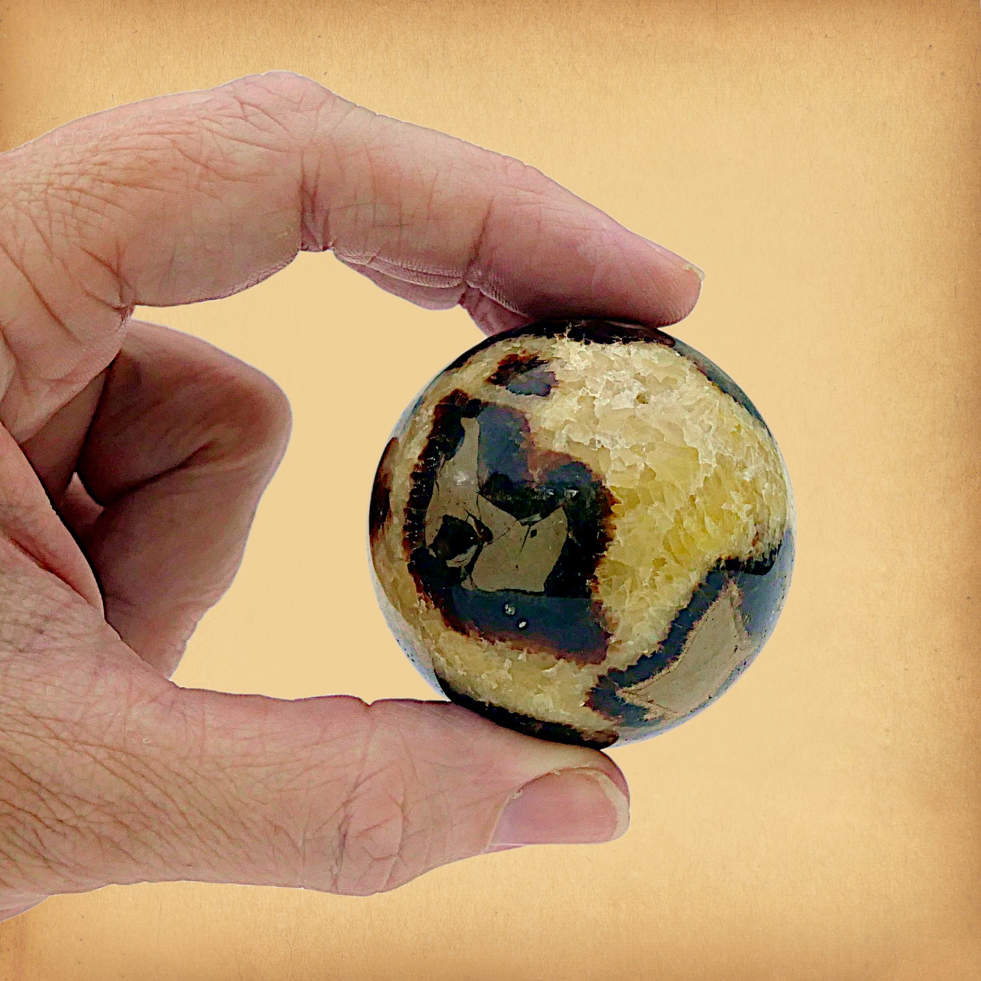 Polished Septarian Sphere