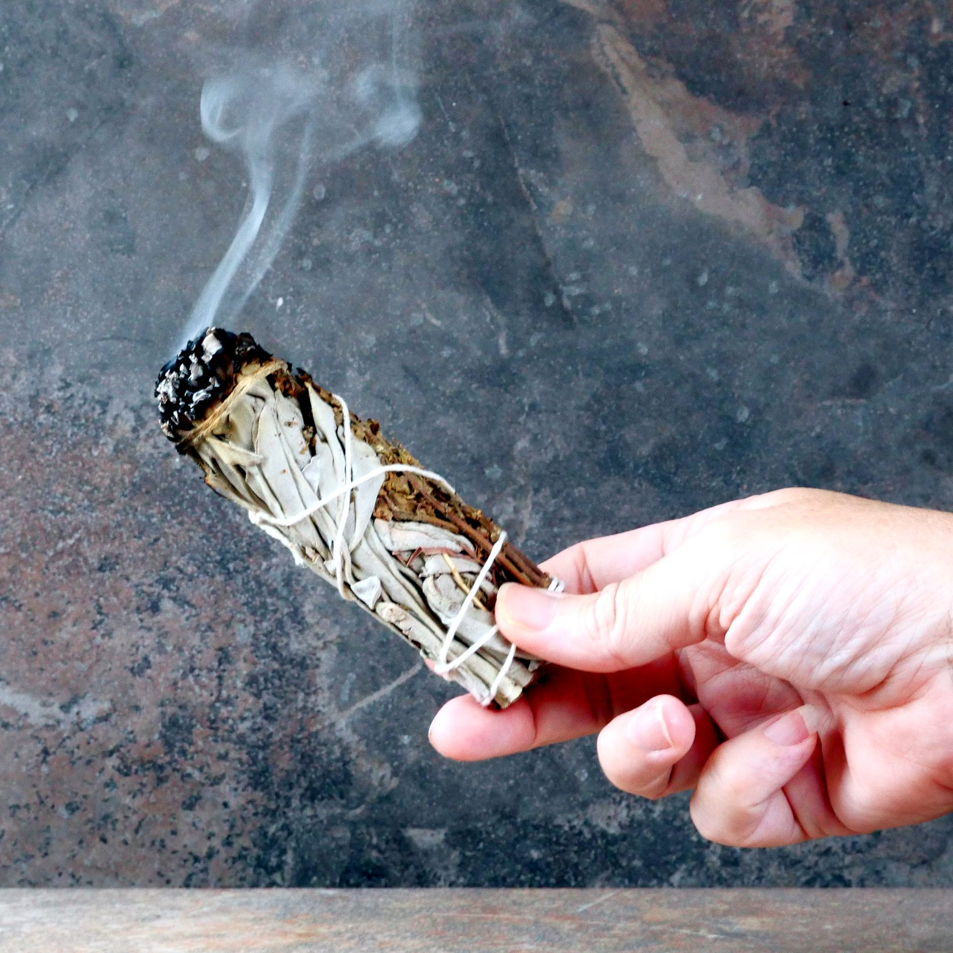 Sage & Basil Herb Bundle