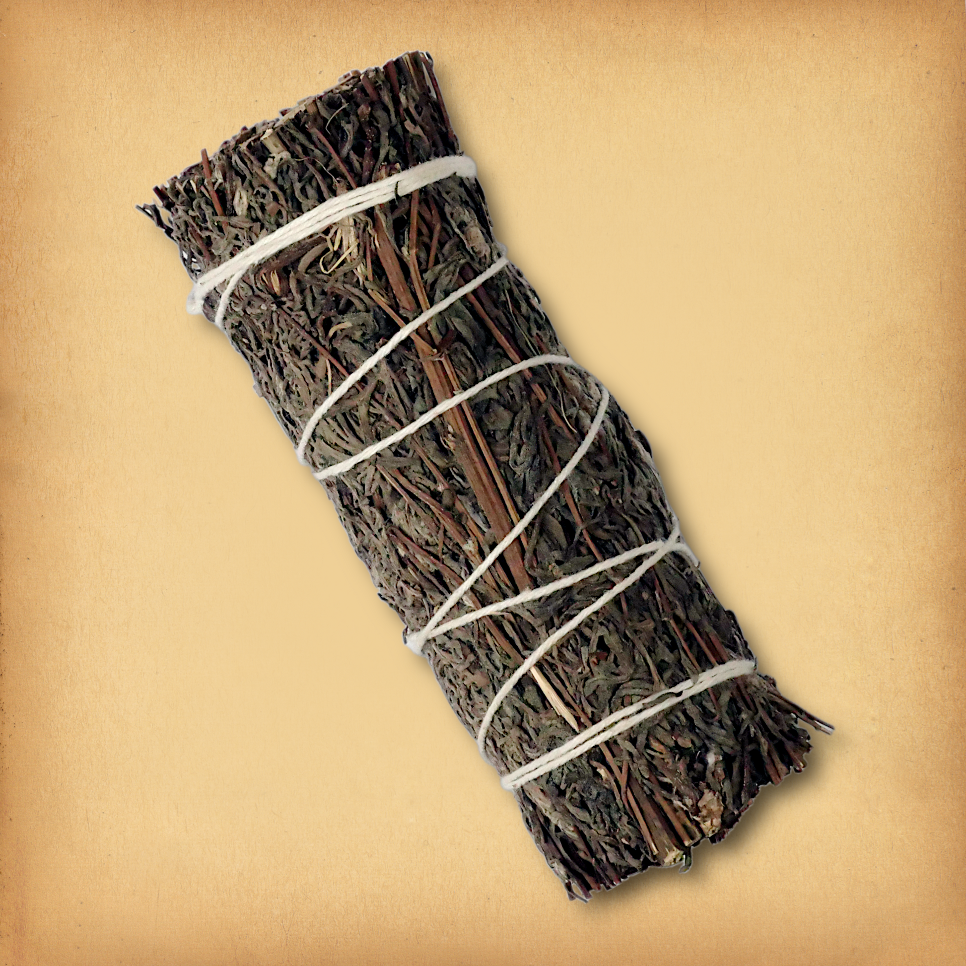 Mugwort Herb Bundle, tied with string, featuring tightly packed dried mugwort ready for smoke cleansing rituals.