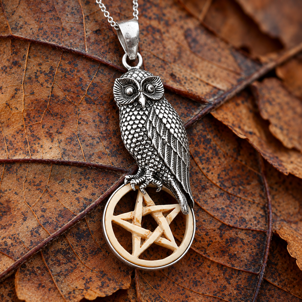 Silver Owl with Bone Pentacle Pendant