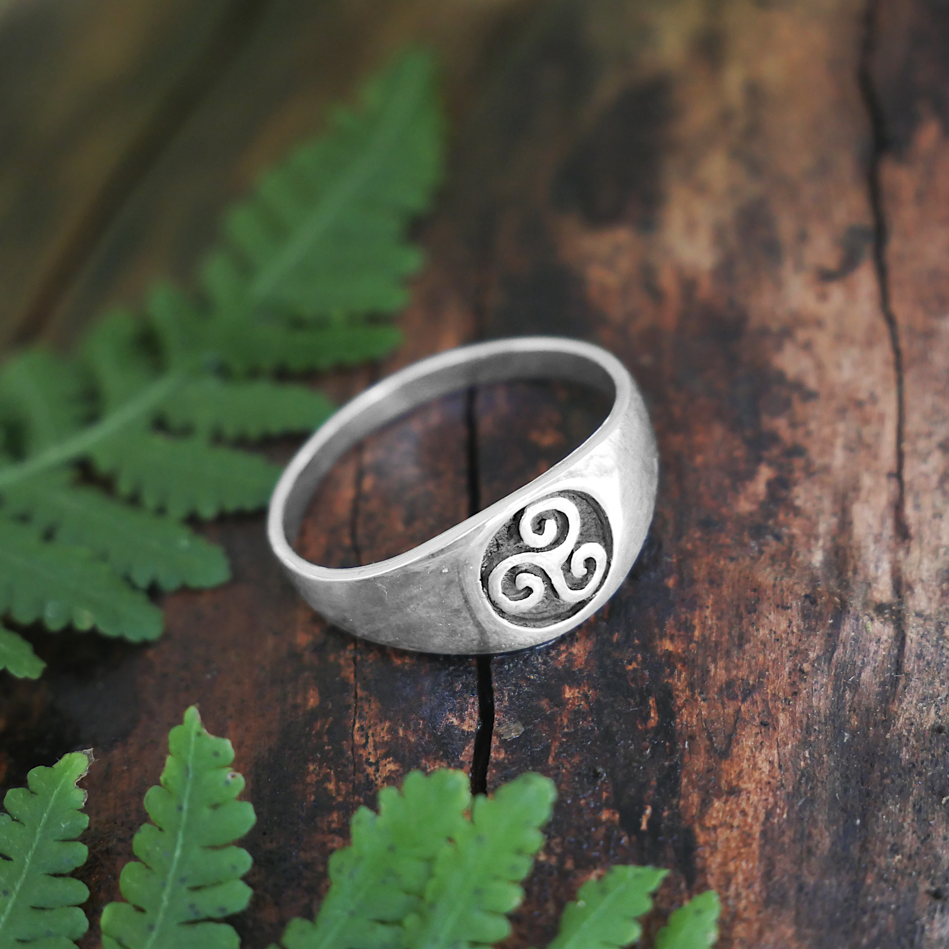 Silver Triskele Signet Ring with a Celtic-inspired triple spiral design, displayed on a fallen log framed by fern fronds.