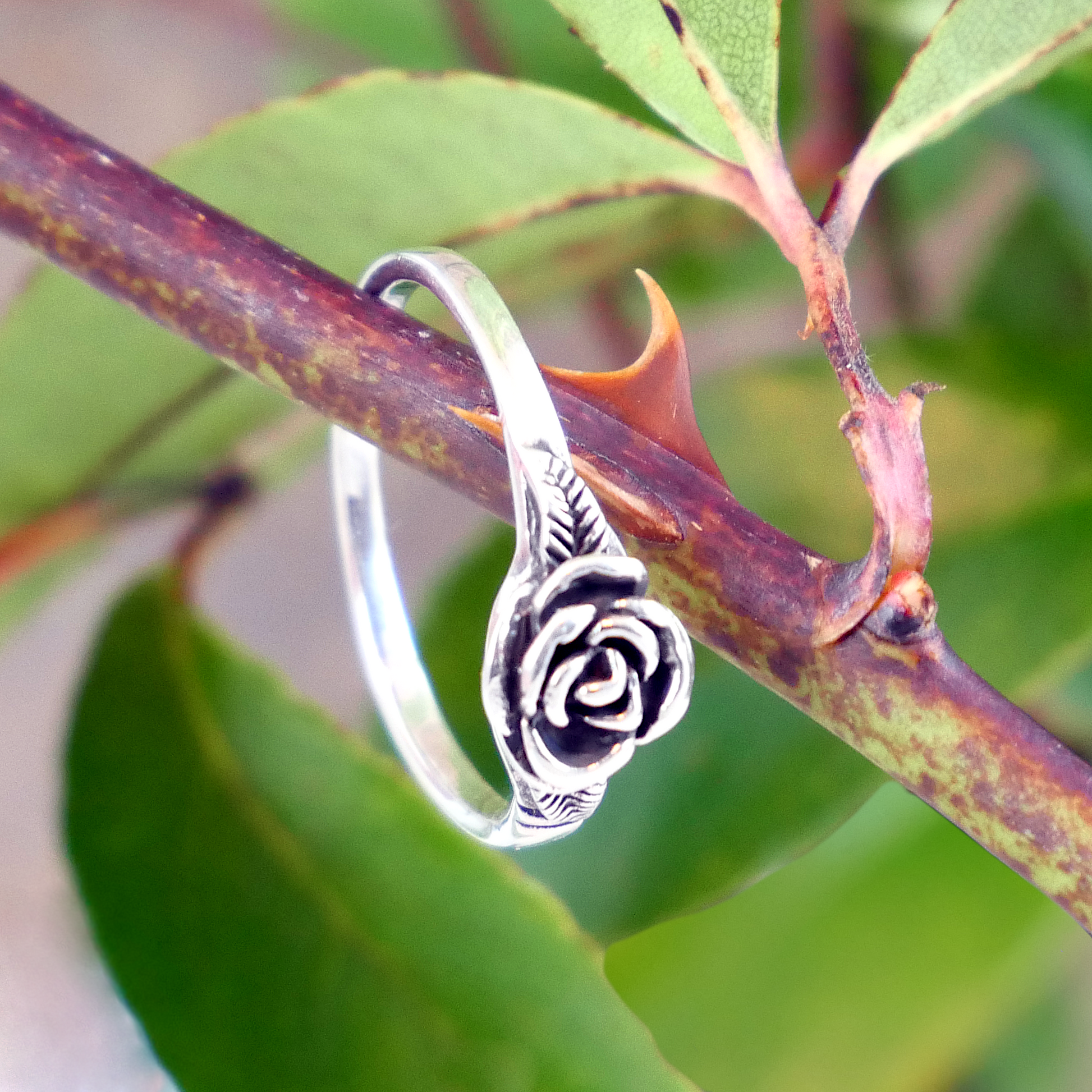 Sterling Silver Rose Ring resting gracefully on a thorny stem, showcasing the beautifully detailed rose in full bloom design.