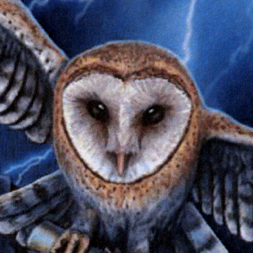 Heart of the Storm Cross Stitch Pattern