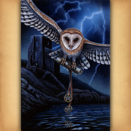 Heart of the Storm Cross Stitch Pattern