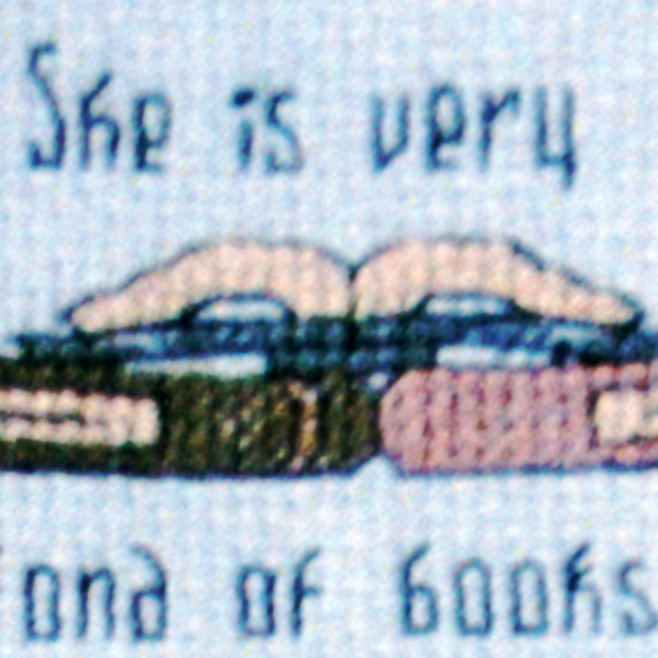 "Addled Her Brain" Cross Stitch Pattern