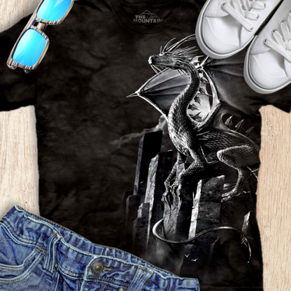 Silver Dragon T-Shirt – Fierce Fantasy Dragon Tee Shirt Silver Dragon T-Shirt – Fierce Fantasy Dragon Tee Shirt