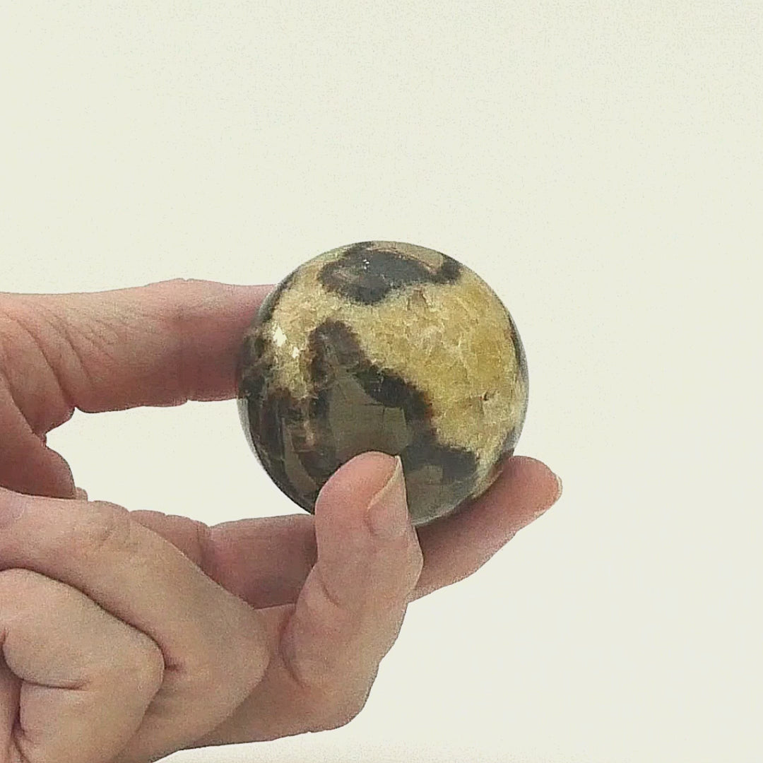 Polished Septarian Sphere