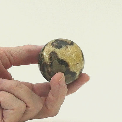 Polished Septarian Sphere